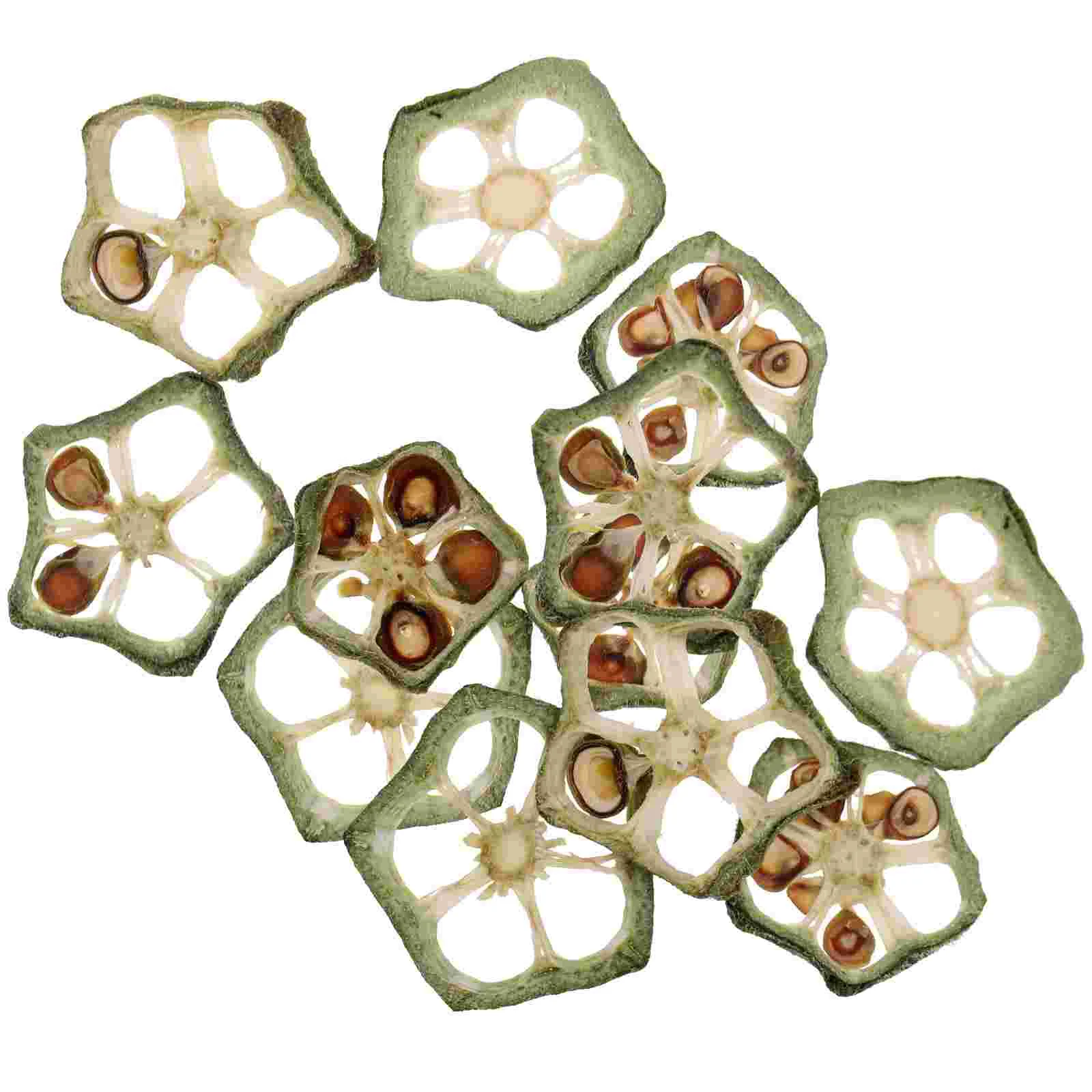 

12 Pcs Okra Slices Fruit Embossed Specimen Child Strawberry Plants Dried Pressed Vegetable DIY