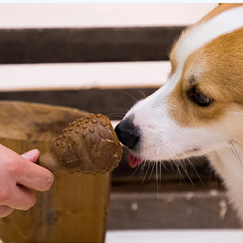 Durable Dog Chew Toy with Food Hole Natural Wood Flour Interactive Pet Bone for Medium Small Dogs Puppy Non-Toxic Grade |