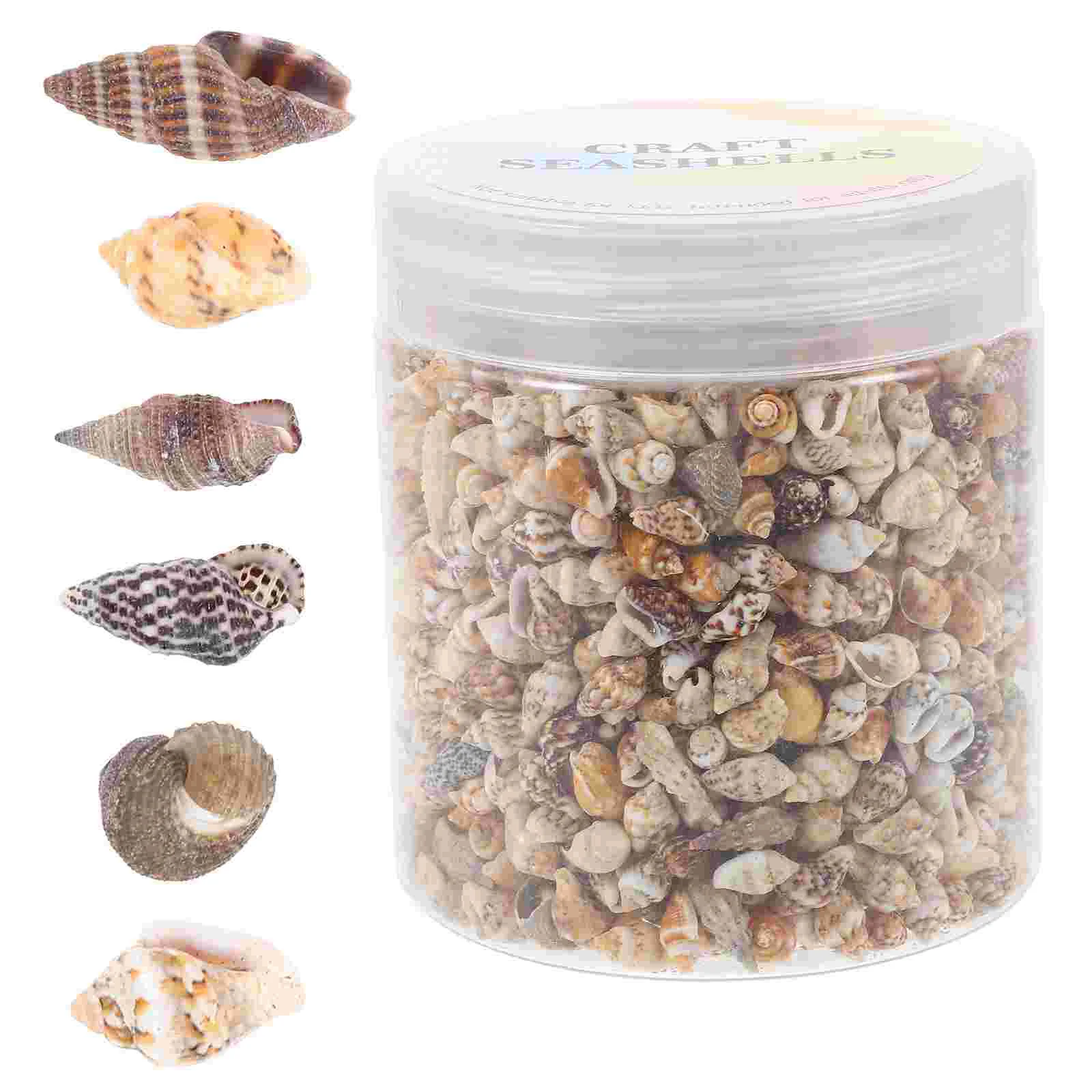 

1 Box of Decorative Tiny Sea Shells Conch Natural Conch DIY Craft Miniature Seashells Decors