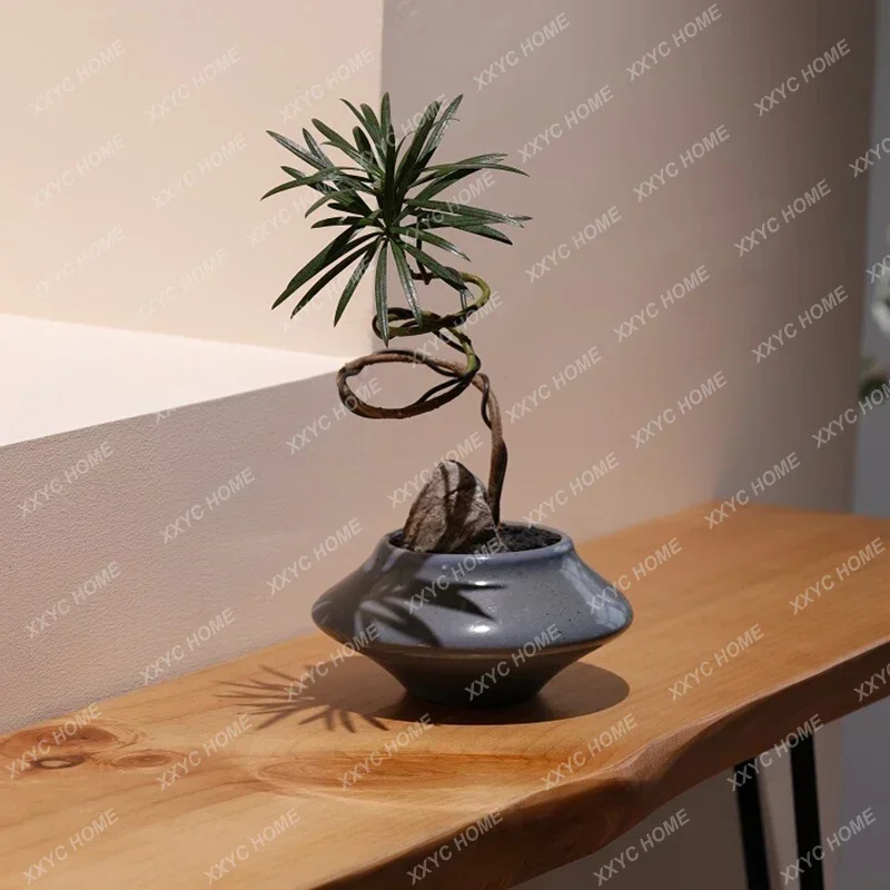 Узкие современные консольные столы для прихожей крыльца гостиной роскошный