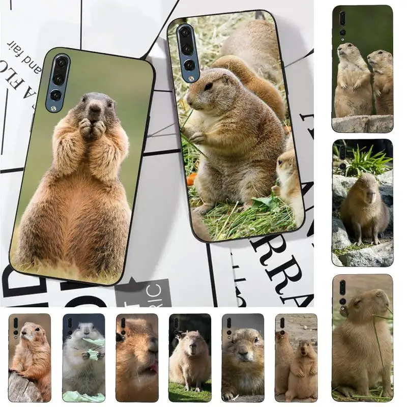 

Funny Capybara Phone Case for Huawei P30 40 20 10 8 9 lite pro plus Psmart2019