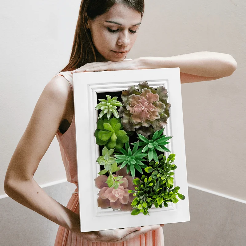 

Artificial Succulent Wall Plant Art, Wood Frame with Realistic Faux Plant, Wall Hanging Botanical Decoration 13" High