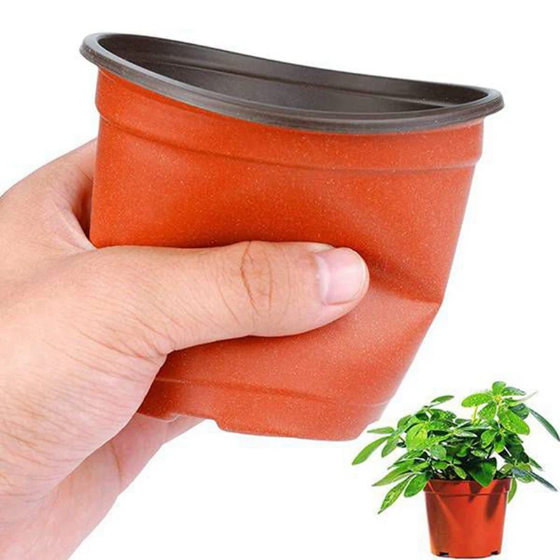 Акция! 330 шт. пластиковые саженцы цветов |