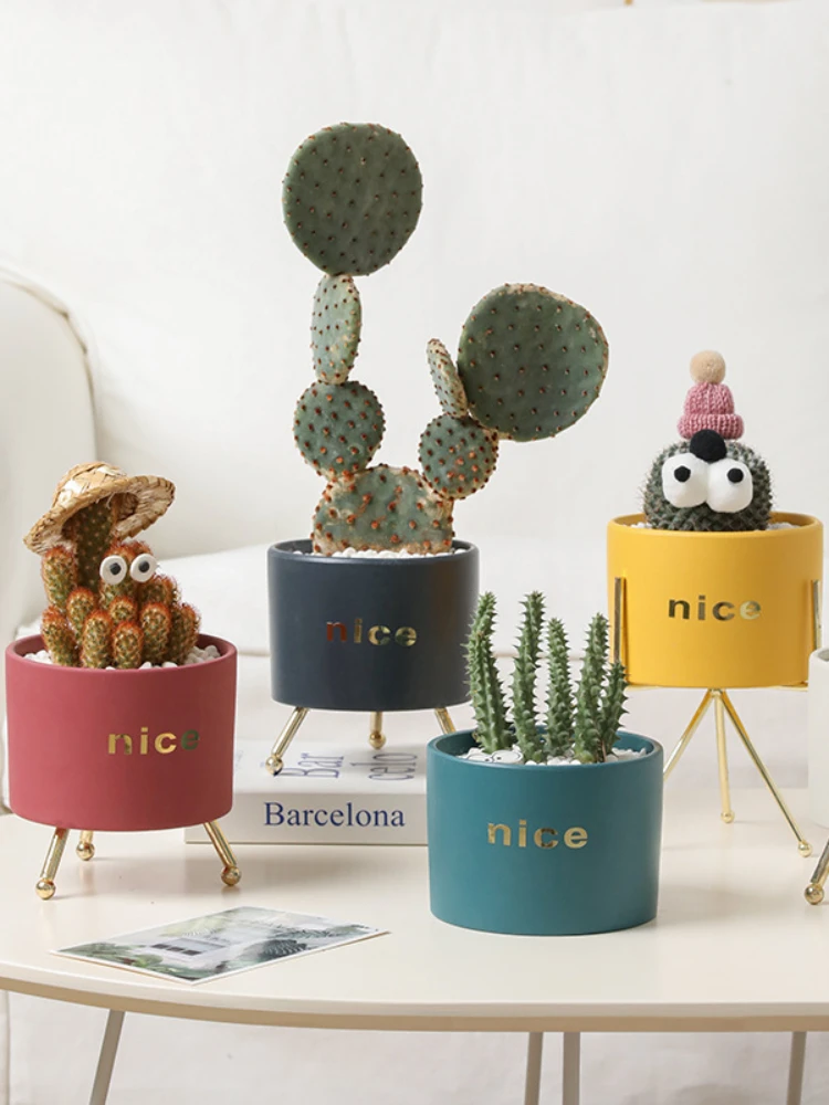 

Succulent flower pot creative iron decoration small pot ins Nordic lovely simple ceramic pot garden home room decoration