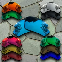 Sunglasses Polarized Replacement Lenses for Rudy Project Rydon Varieties