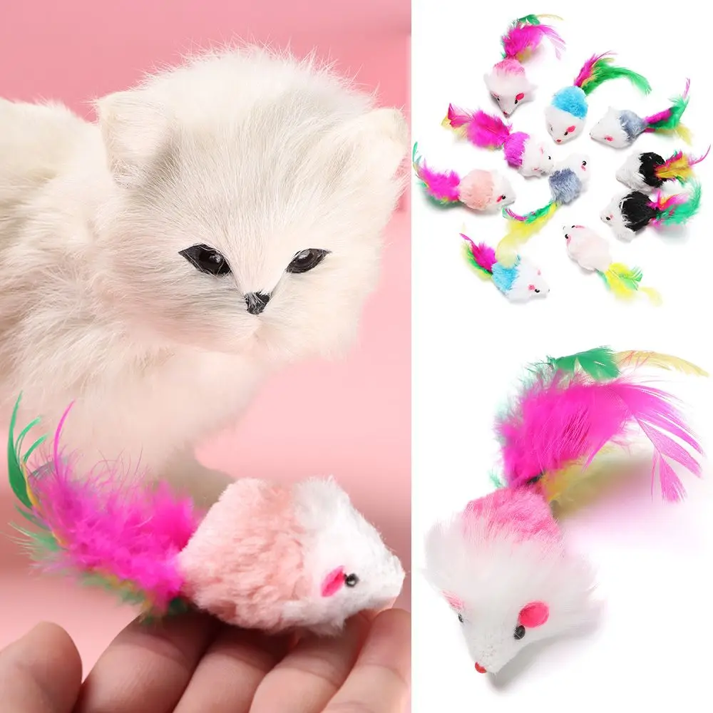 

10Pcs Cat Mouse Toys Kittens Interactive Cat Toy Practical Colorful Feather Funny Catnip Feather Tail Mice Rattle Set