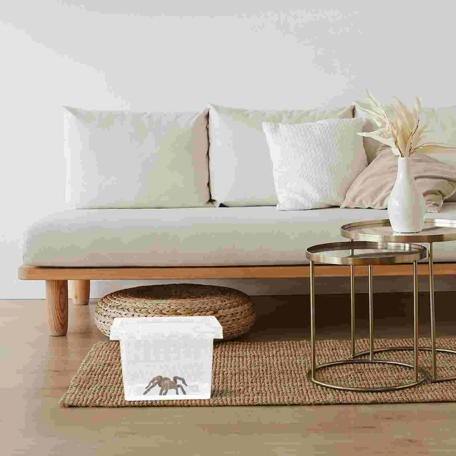 Маленький паук ящерица ферма насекомые Воздухопроницаемый Террариум прозрачная