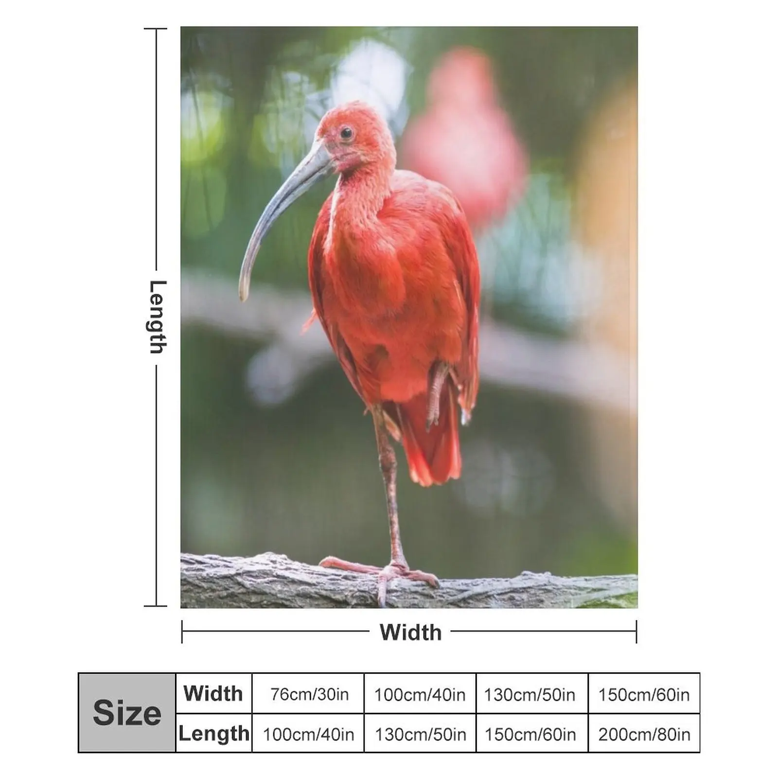 Тропическое алый Ибис пледы одеяла украшения для диванов плед на диван