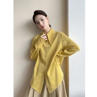 high shirt female spring autumn vertical chic worn foreign pointed collar style