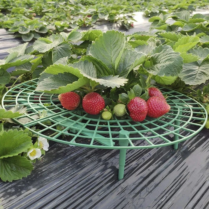 

30 x 30cm Round Plastic Strawberry Stand Balcony Grow Vegetables Fruit Climbing Pillar Gardening Bracket Plant Cages & Supports