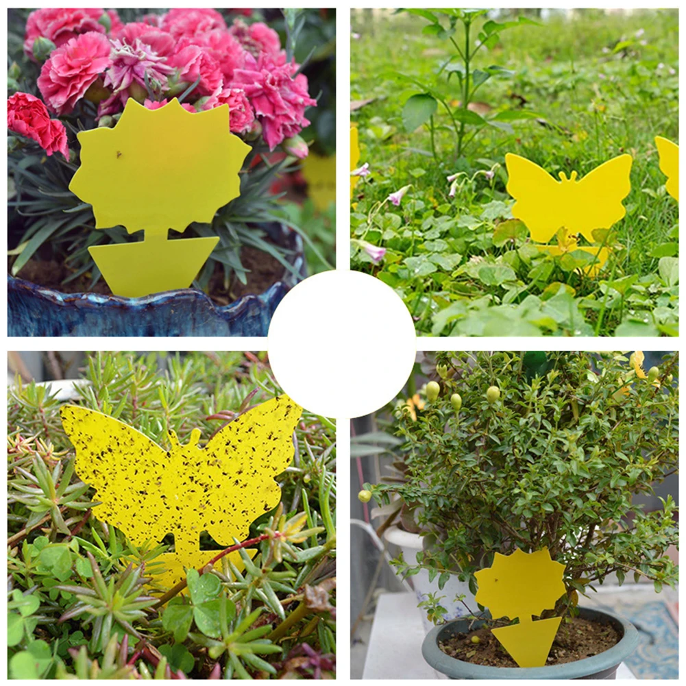 Рисунок 6 - Клейкие ловушки для дома