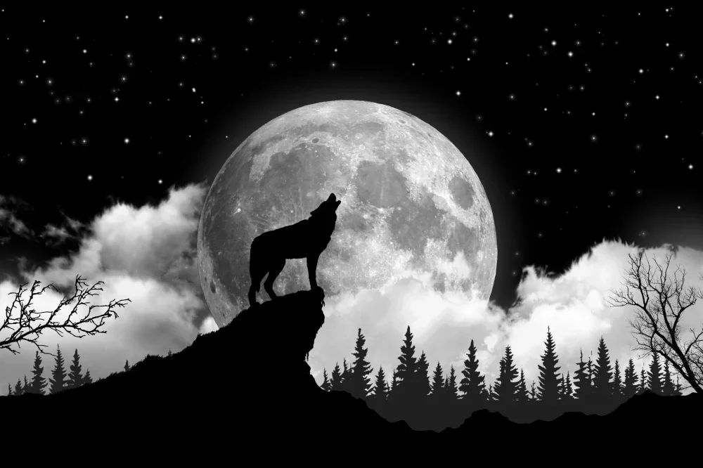 

room decor Wolf on the moon pattern tapestry