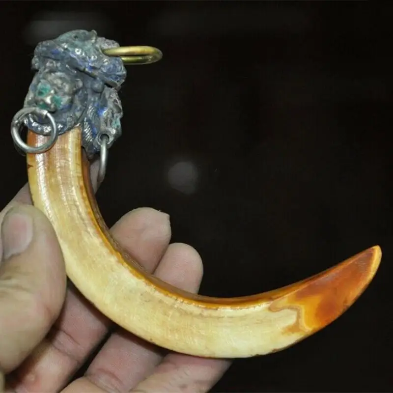 

Rare Old Chinese Tibetan Silver Inlay Wild Boar Teeth Exorcism Amulet Pendant