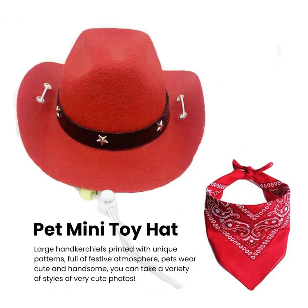 

Elastic cord and adjustable buckle will help you, allowing you to adjust to fit your pet and not fall easily