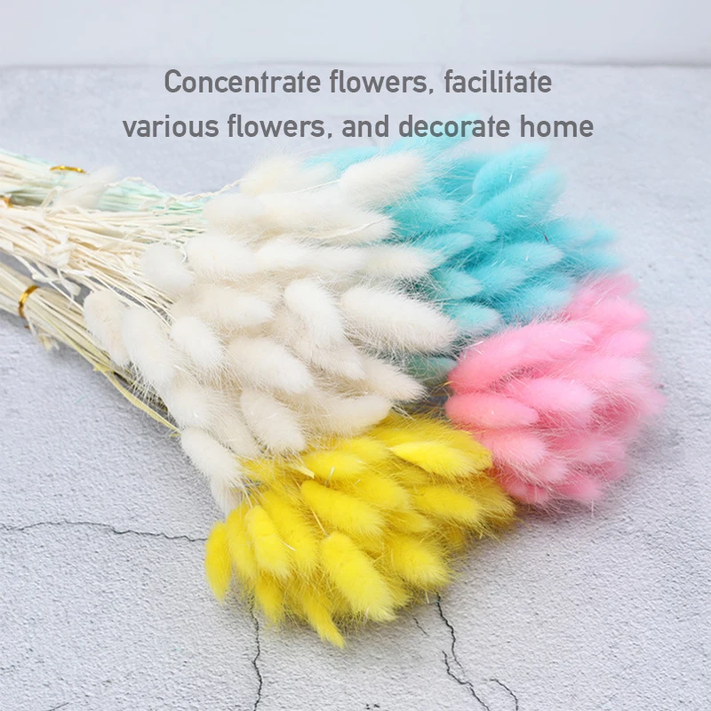 

30/60pcs Natural Rabbit Tail Fluffy Dried Pampas Grass Bouquet for Decoration Dried Flower Wedding Arrangement Accessories Decor