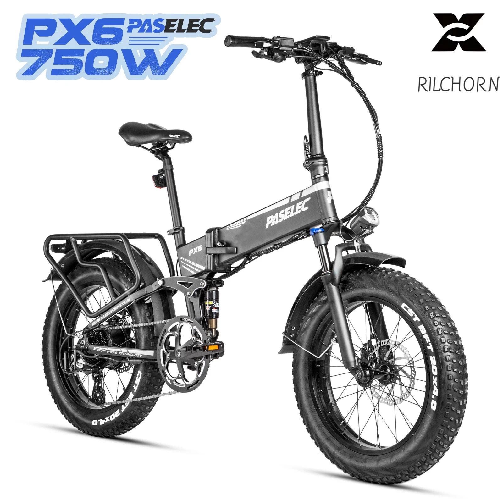 RILCHORN Free Shipping PX6 Fat Tire Folding Electric Bicycle 800W EBike Moutian Road Bike 20in Snow Ebike for Sale