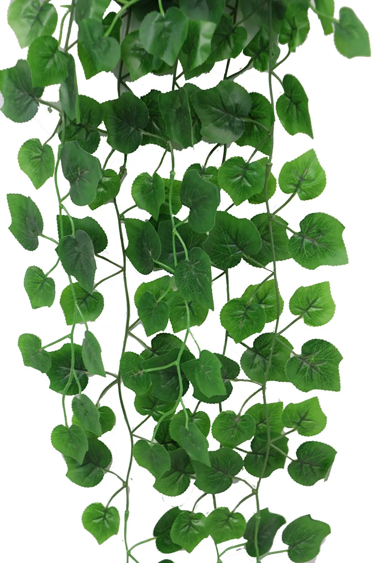 

Wet textured sagging ivy 9 branch model 100 cm Home Wedding Birding decoration Artificial Flowers Dry Flower