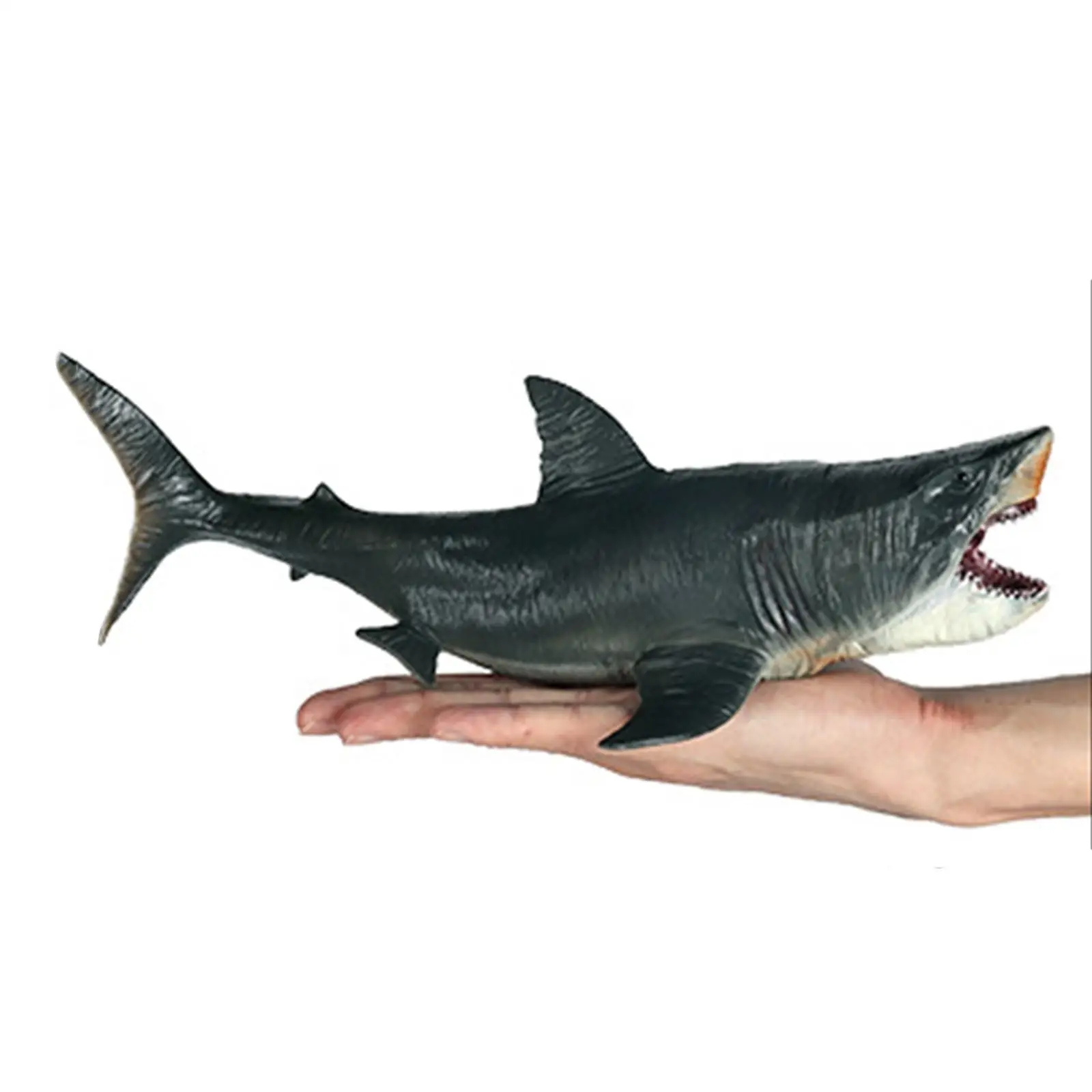 Фигурка акулы модель существа Megalodon животное Акула игрушка вечерние ринки