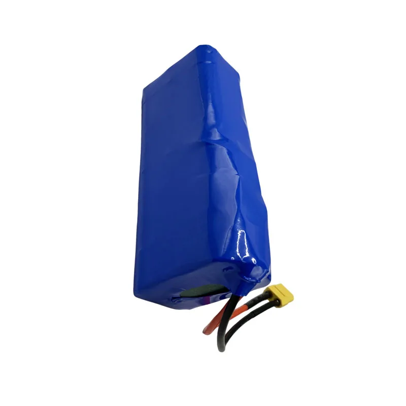 Литий-ионный аккумулятор 18650 с BMS для резервного питания Ups CCTV камеры