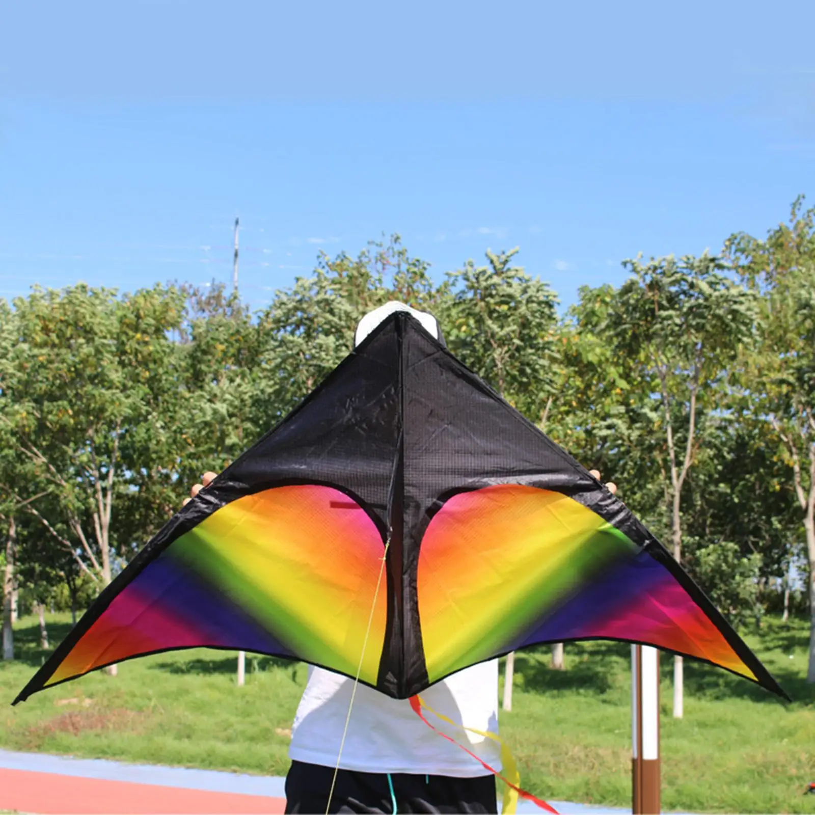 

Colorful Delta Kite Fly Kite Single Line for Sports Teenagers Kids Adults