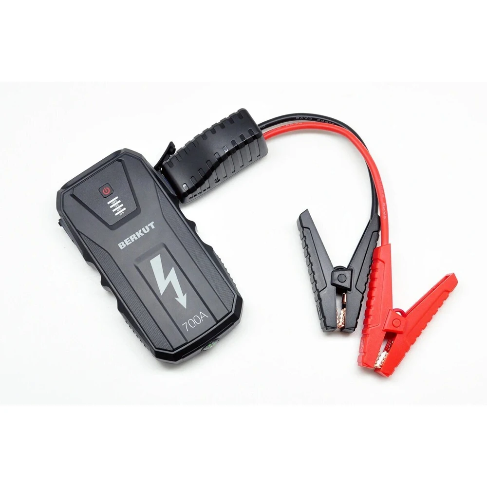 Зарядное Устройство Беркут Купить В Москве