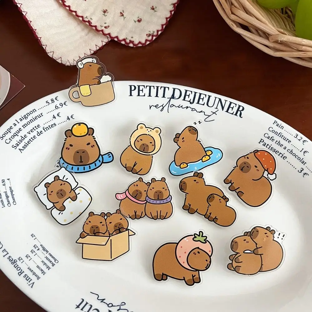 Ювелирные изделия акриловая булавка для капибары милые булавки забавные девушек