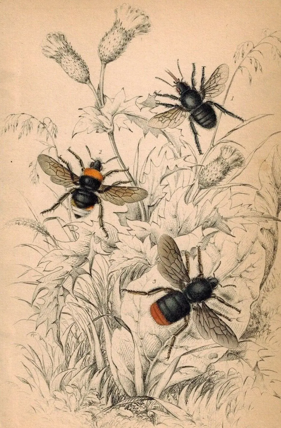 

Lot style Choose BEE Art print Silk poster Home Wall Decor