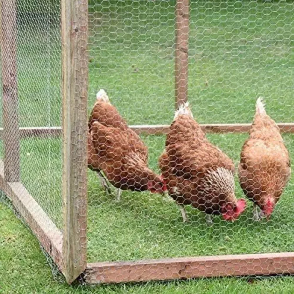 Шестигранная проволочная сетка для курицы оцинкованная 0 1/0 35/0 4 м