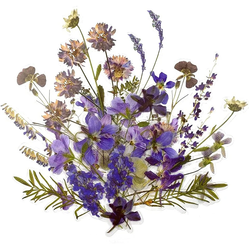 

40Pcs Transparent Flowers Stickers Set Plant Scrapbook Stickers Flower Decorative Sticker PET Sticker for Scrapbooking