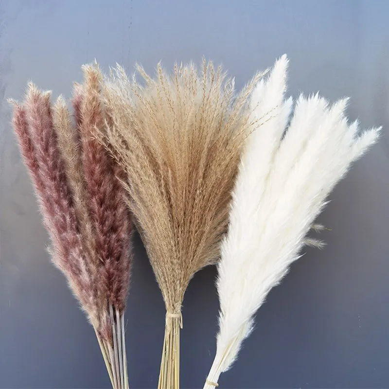 

45cm Pampas Wheat Ears Rabbit Tail Grass Natural Dried Flowers Bouquet Wedding Decoration Christmas Party For Home Decor