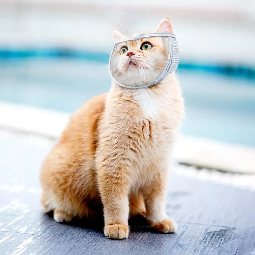 

Cat Hood Breathable Comfortable Anti-lick Pet Kitten Transparent Grooming Muzzle Transparent Mask Pet Accessories For cat dog