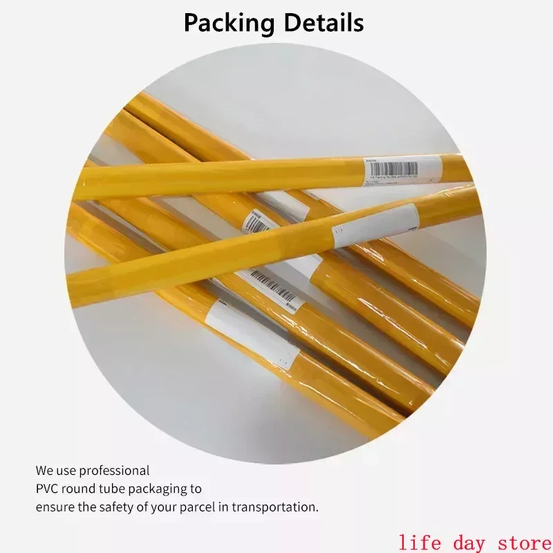 Постеры на холсте с морскими ракушками и