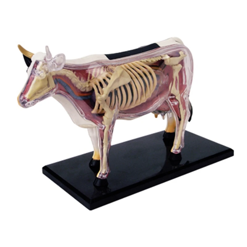

Животные, модель, 4D корова, интеллектуальная сборная игрушка, обучающая анатомия, модель «сделай сам», популярные научные приборы