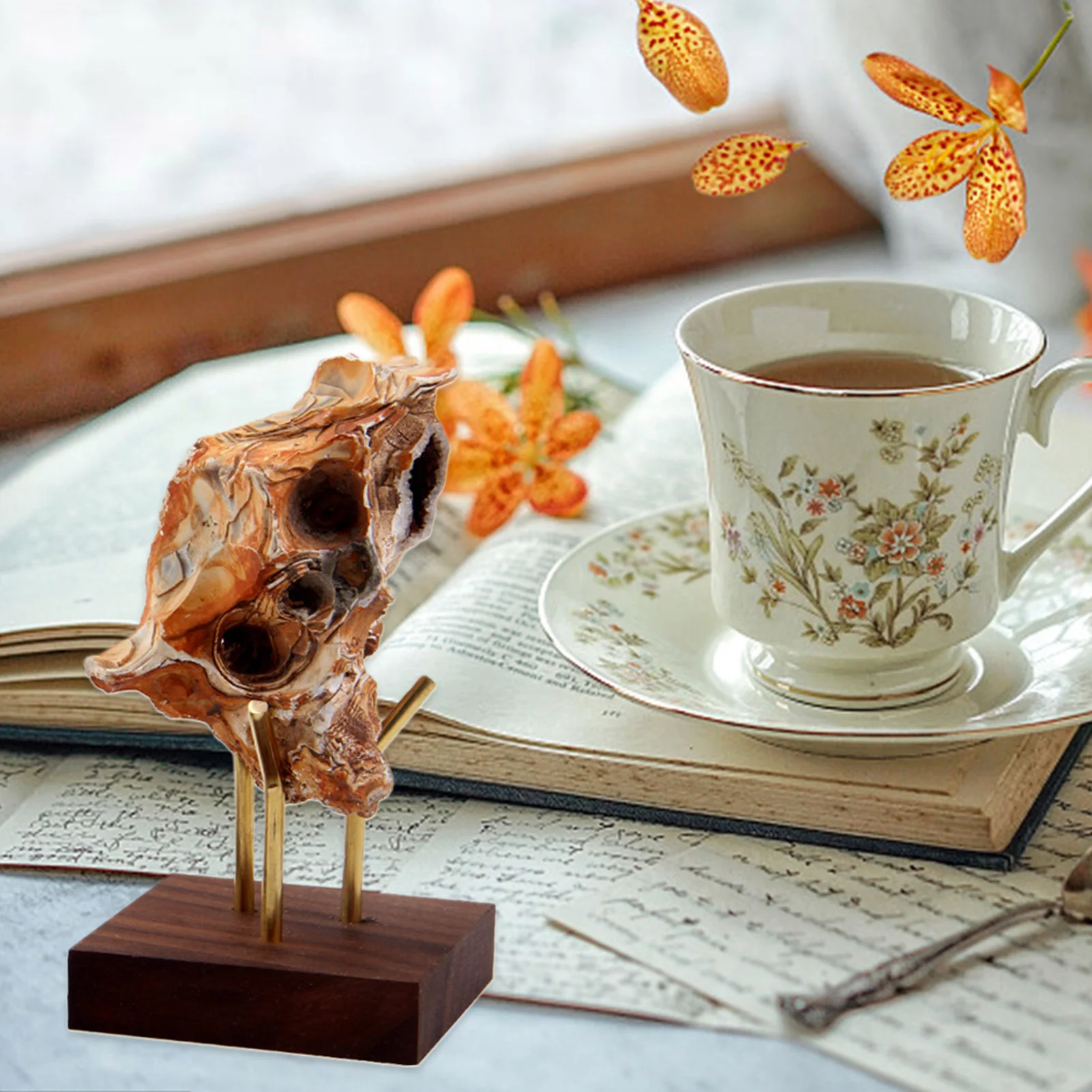 Демонстрационный стенд деревянная подставка для коллекций латунная