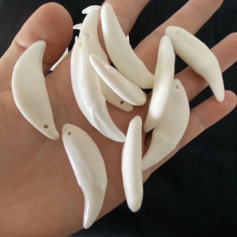 

10 шт., тибетские клыки из натуральных волчьих зубов