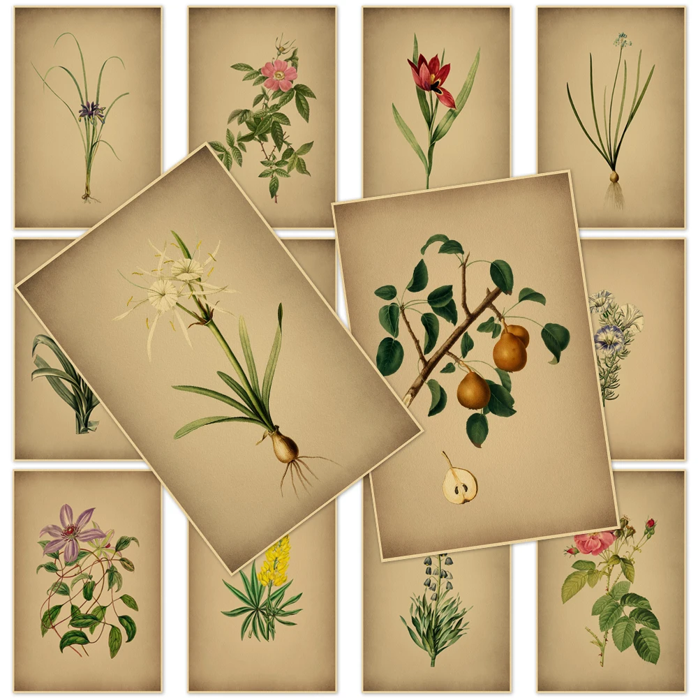 

Illustration Poster Paintings Botanical Kraft Paper Wall Art Floral Plant Prints Vintage Home Decor Birthday Present Kids Room