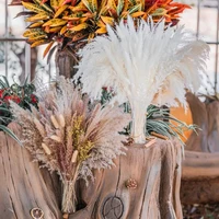 30pcs artificial colorful pampas grass natural dried flower home length 45cm phragmites wedding decoration accessories bouquet