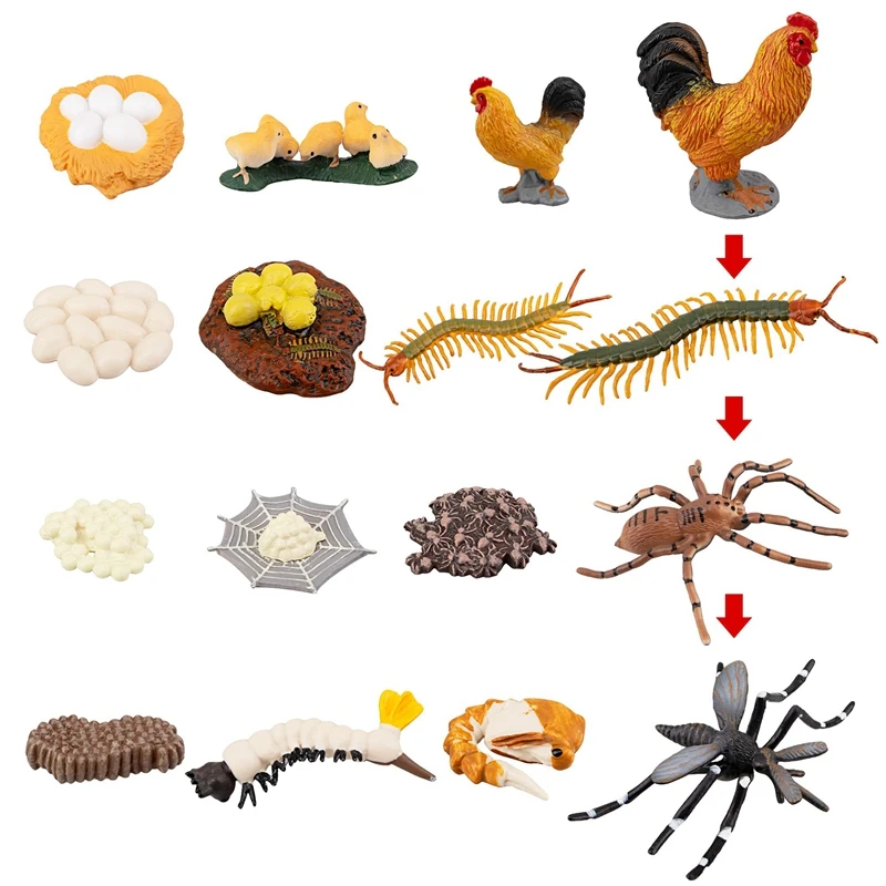 

16PCS Farm Animals Figurines Life Cycle Of Chicken Rooster Centipede Spider Mosquito, Kids Cognitive Educational Toys