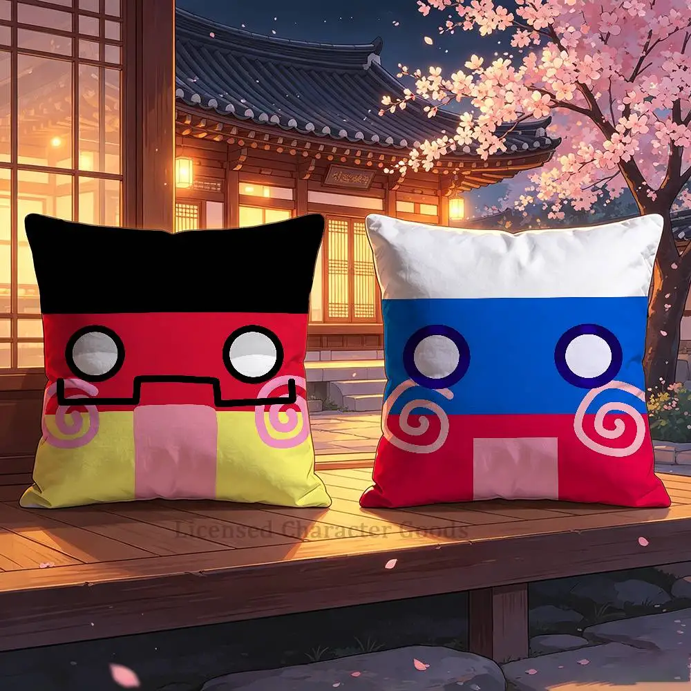 Фото Наволочка с принтом мема C-Countryballs P-Polandball, эстетичный декор для спальни, размеры 30x30, 65x65, 40x40, 45x45, 50x50 см. №1