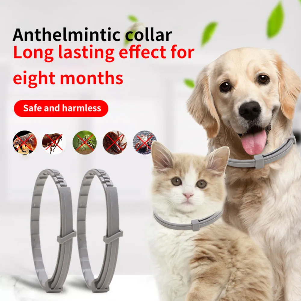 

Pet Flea and Tick Collar for Dogs Cats 8 Months Protection Collar Anti-mosquito or Insect Repellent Puppy Cat Large Dog Supplies