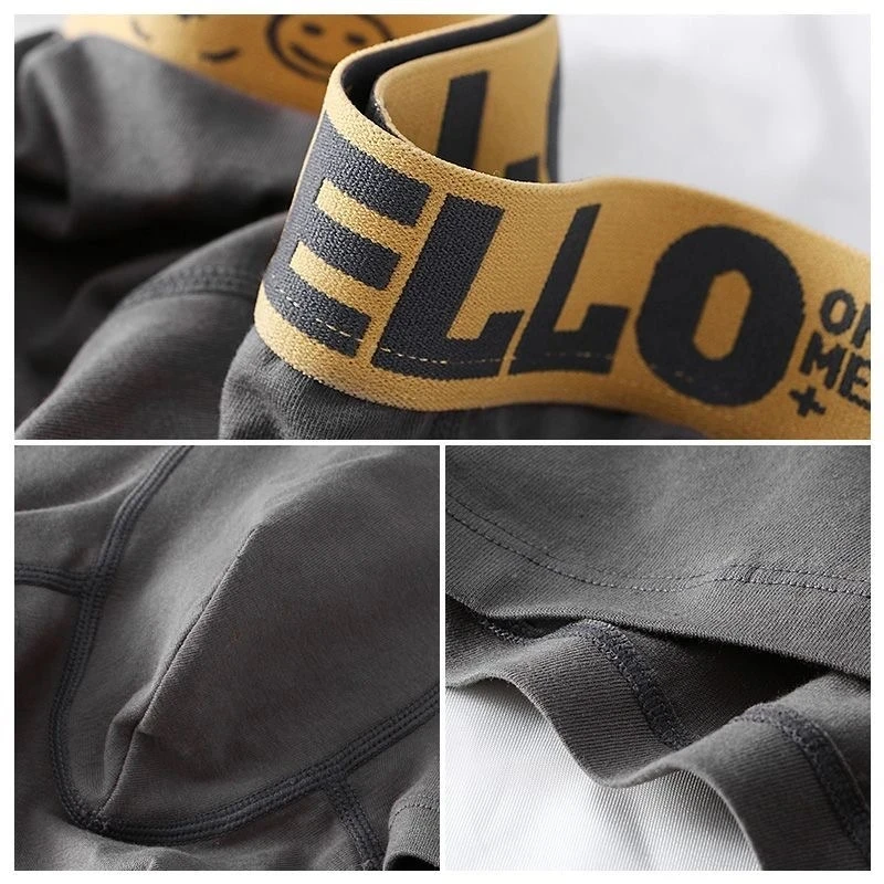 Men Panties Boxer Shorts for Men Cotton Underwear Breathable Graphene Boxers Underpants Comfortable Sexy Mens Shorts Plus Size