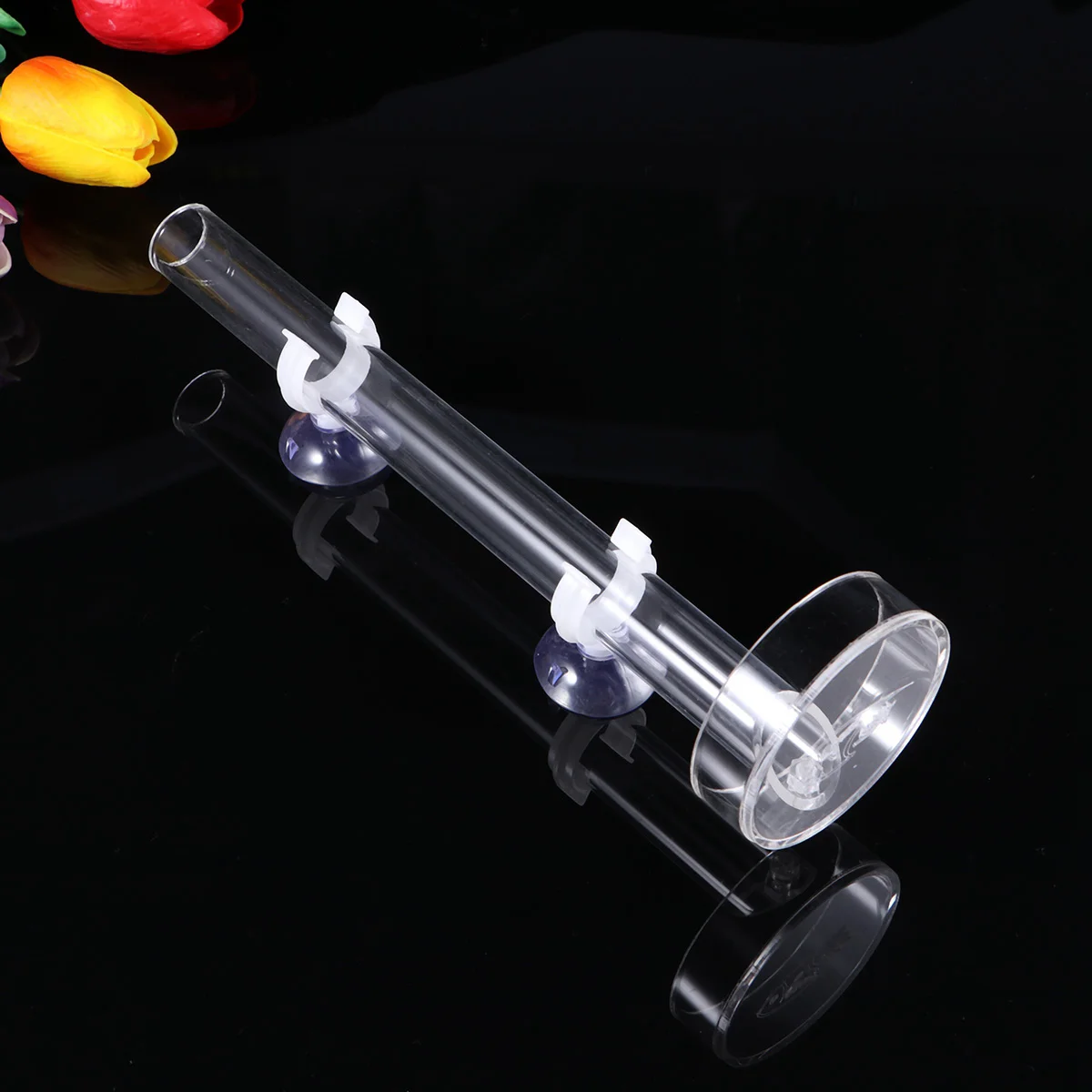 

Glass Tubes Tray Bathtub Shrimp Feeding Automatic Fish Feeder Small Tank Aquarium Bowl