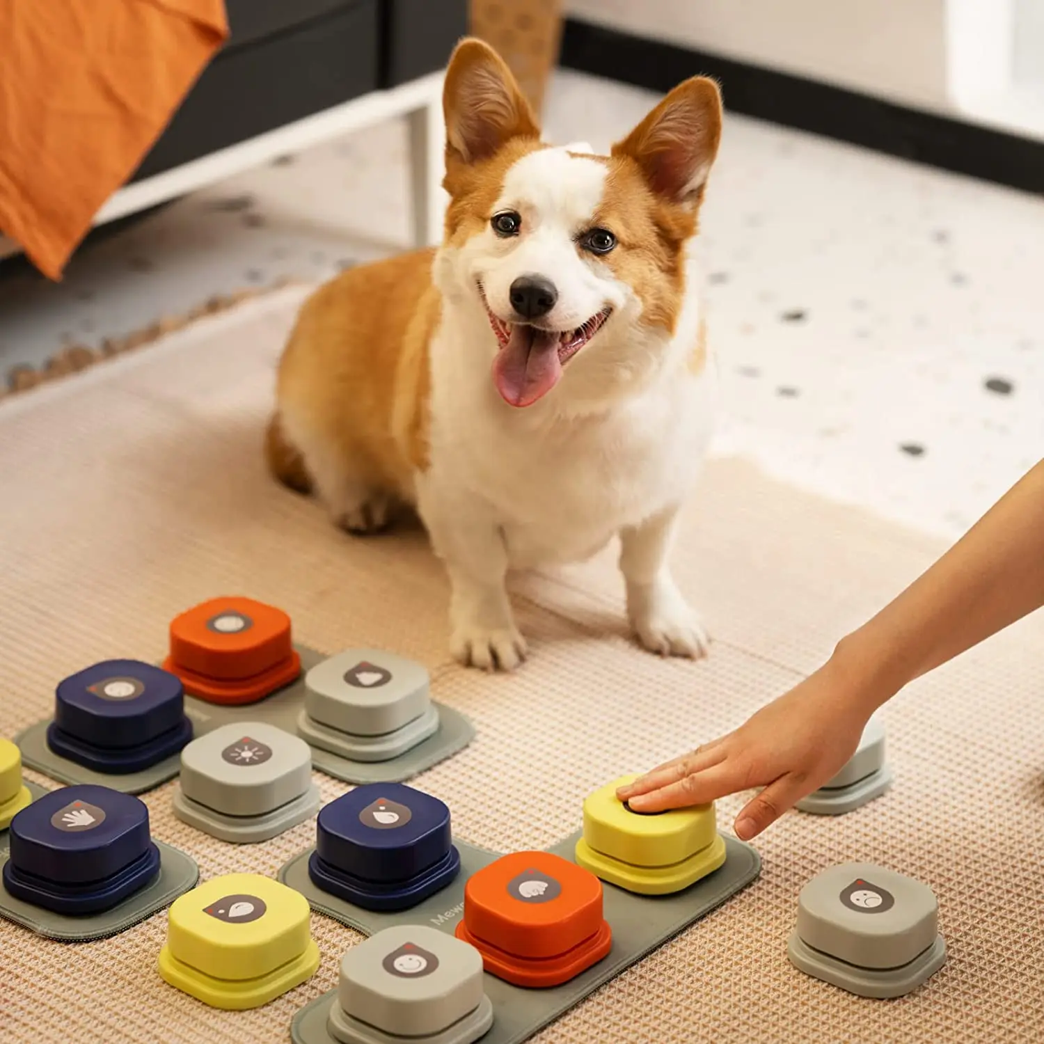 

Dog Toys Dog Button Record Talking Pet Communication Vocal Training Interactive Toy Bell Ringer With Pad And Sticker Easy To Use