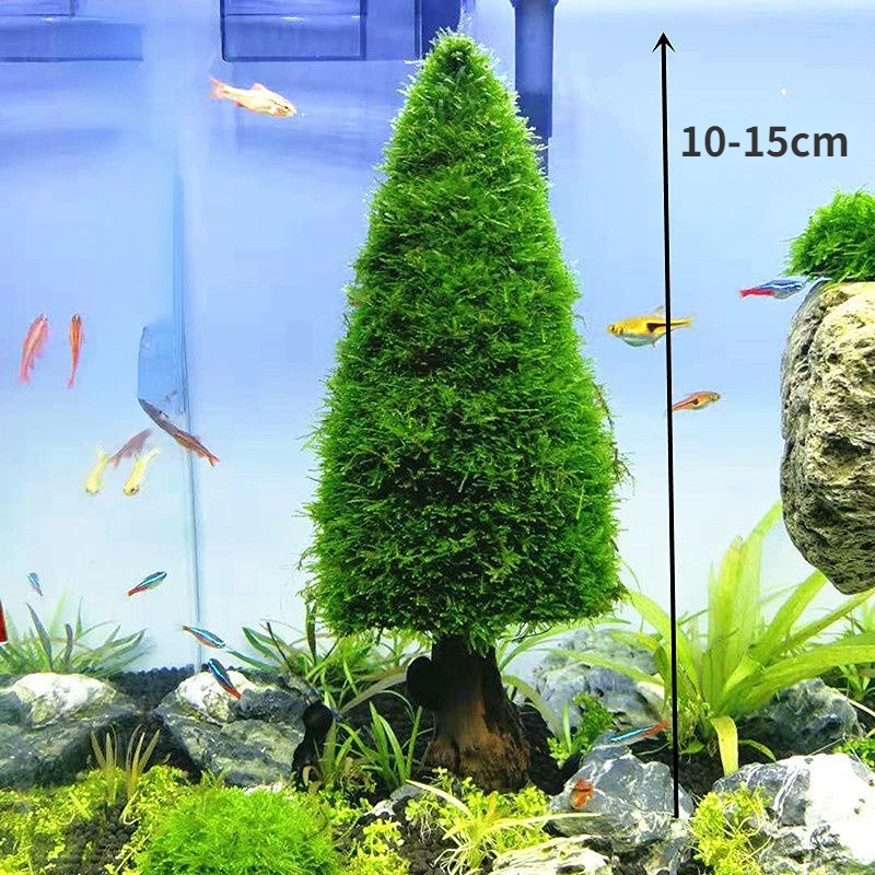 

Aquarium Decoration Aquatic Plants Moss Tree Pine Tree Christmas Tree Fish Tank Landscaping Ornament Water Grass (No Moss)