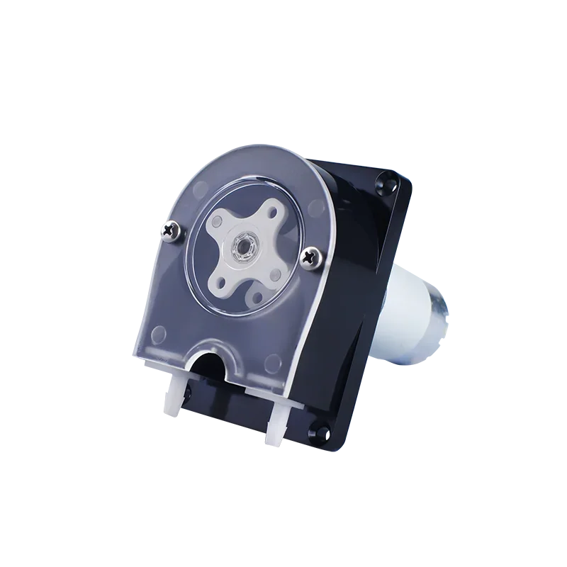 Disp 3000 Китай CR насос таймер Маленький OEM перистальтический шланг