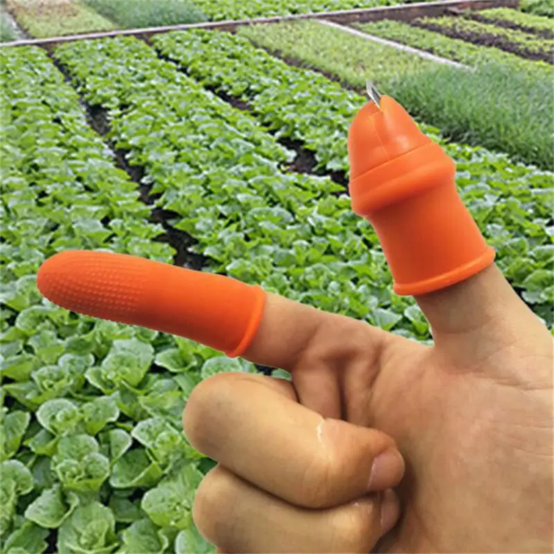 

Finger Protector Silicone Thumb Knife Farm Vegetable Fruit Picker Pickle Pepper Garden Orchard Vegetable Patch Scissors Gloves