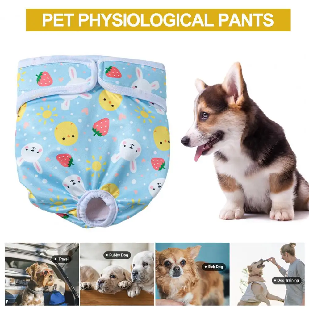 

Dog Diapers for Incontinence Comfortable Stylish Pet Pants High Absorbency Leak-proof Dog Diaper Wraps for Female Dogs Fastener