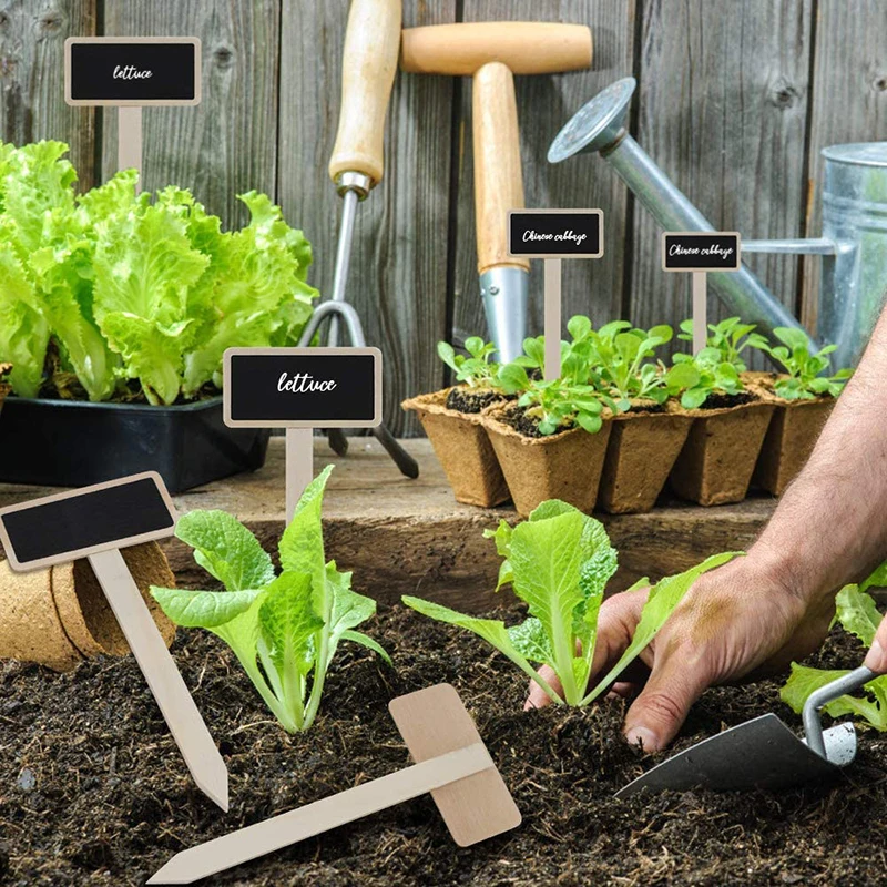 

Garden Labels Mini Wooden Garden Flowers Tools Seed Potted Herbs Vegetables Plant Classification Tags Markers for Flower Pot