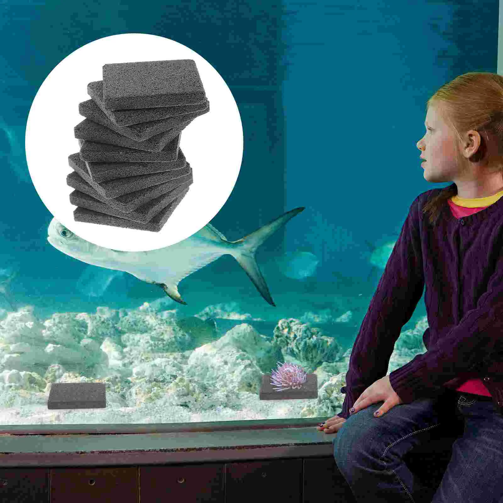 

10 Pcs Aquarium Frag Rack Shelving Brackets Ceramic Coral Holder Black Serving Tray Tray Plug Ceramic Coral Frag Tiles