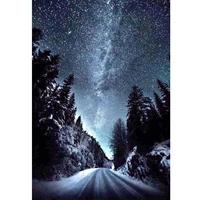 5d diamond painting winter night roadside scenery full drill by number kits for adults diy diamond set arts craft a0833